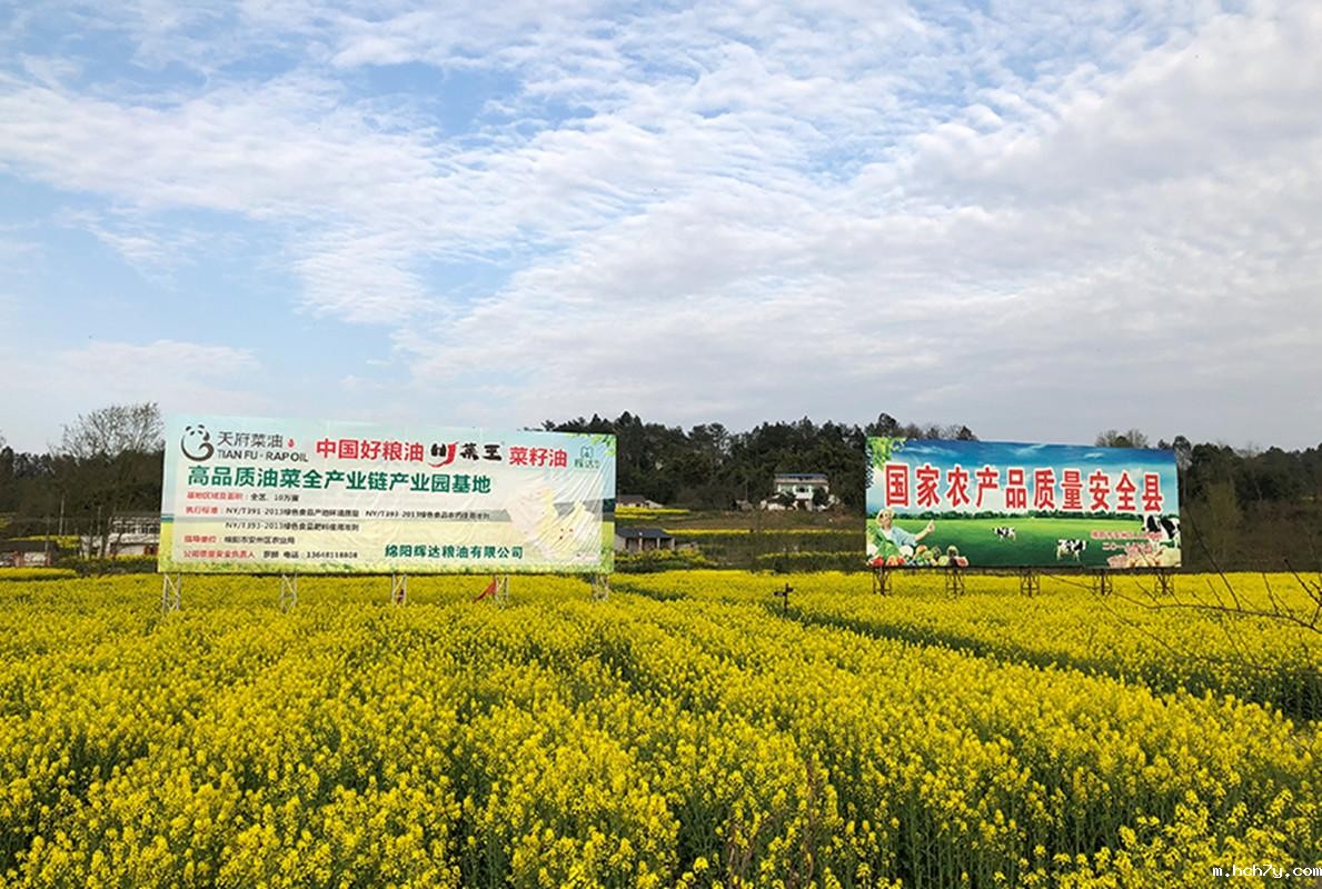 图片5.jpg 图片5.jpg